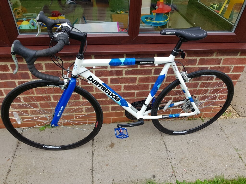 barracuda racing bike